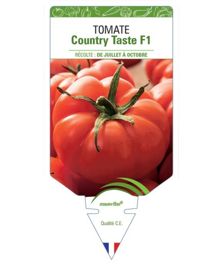 TOMATE COUNTRY TASTE F1