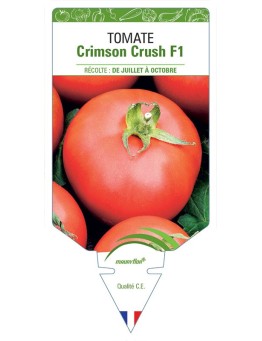 TOMATE CRIMSON CRUSH F1