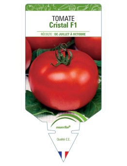 TOMATE CRISTAL F1