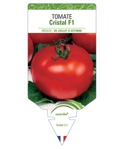 TOMATE CRISTAL F1