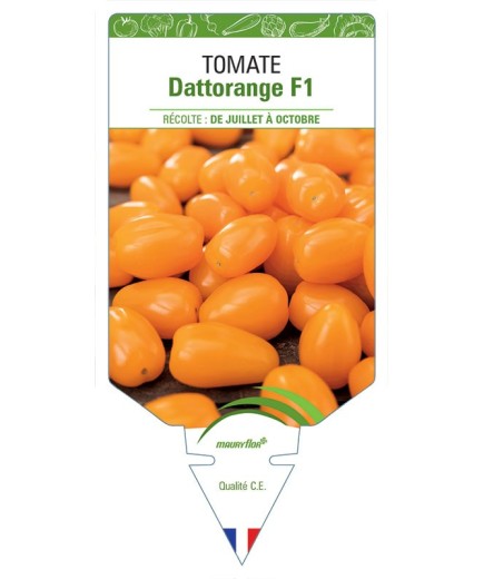 TOMATE DATTORANGE F1