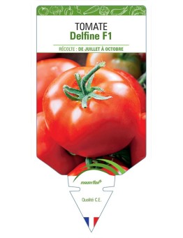 TOMATE DELFINE F1