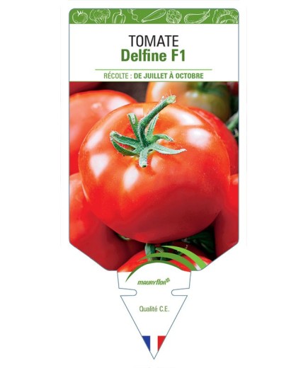 TOMATE DELFINE F1