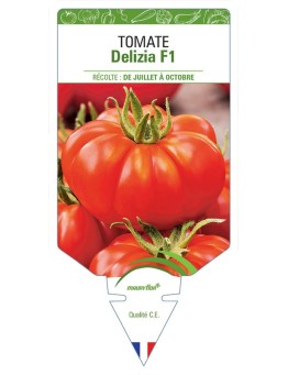 TOMATE DELIZIA F1