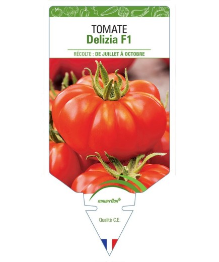 TOMATE DELIZIA F1