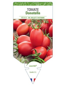 TOMATE DONATELLA
