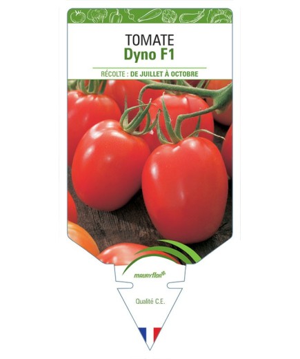 TOMATE DYNO F1