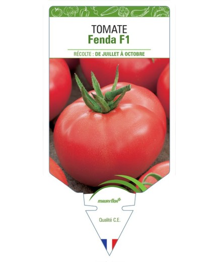 TOMATE FENDA F1