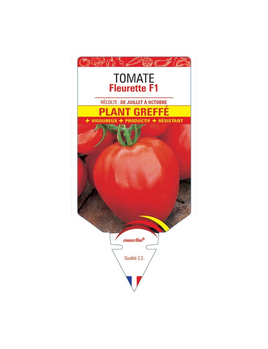 TOMATE FLEURETTE F1 PLANT GREFFÉ