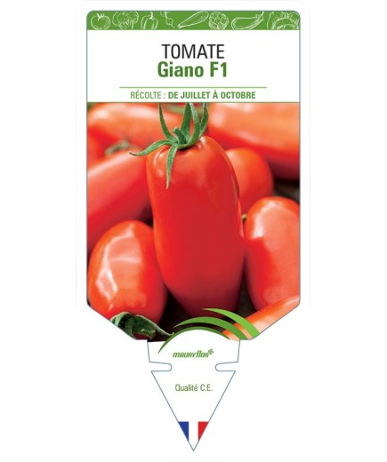 TOMATE GIANO F1