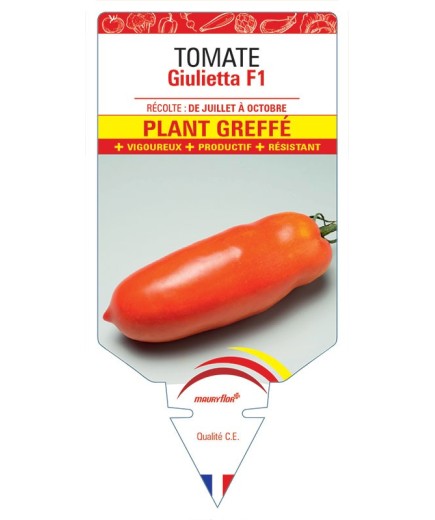TOMATE GIULIETTA F1 PLANT GREFFÉ