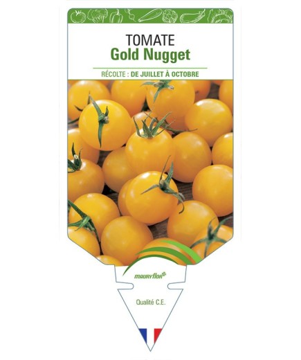 TOMATE GOLD NUGGET