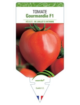 TOMATE GOURMANDIA F1