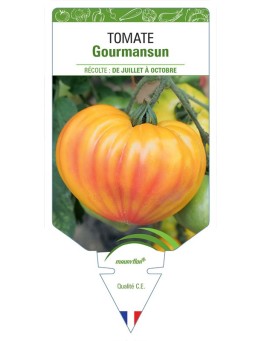 TOMATE GOURMANSUN