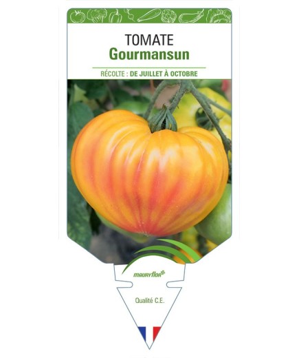 TOMATE GOURMANSUN