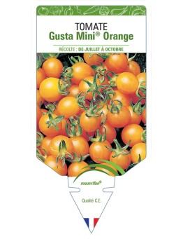 TOMATE GUSTA MINI® ORANGE