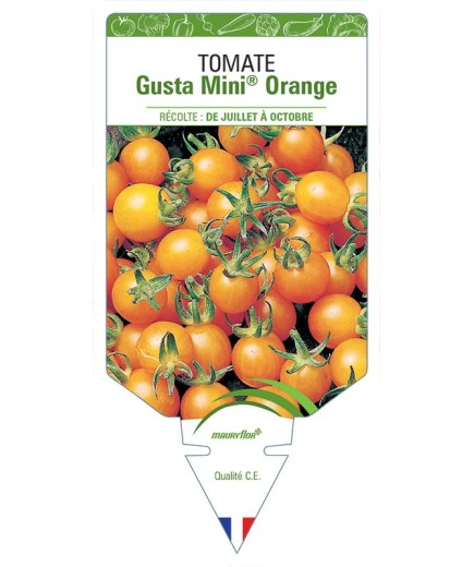 TOMATE GUSTA MINI® ORANGE