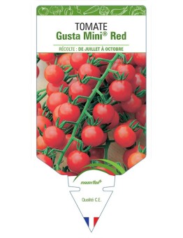TOMATE GUSTA MINI® RED