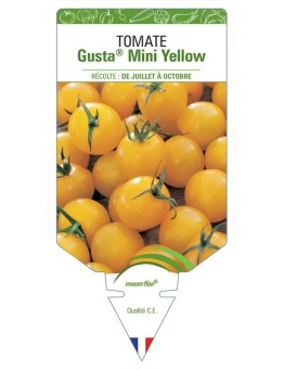 TOMATE GUSTA MINI® YELLOW