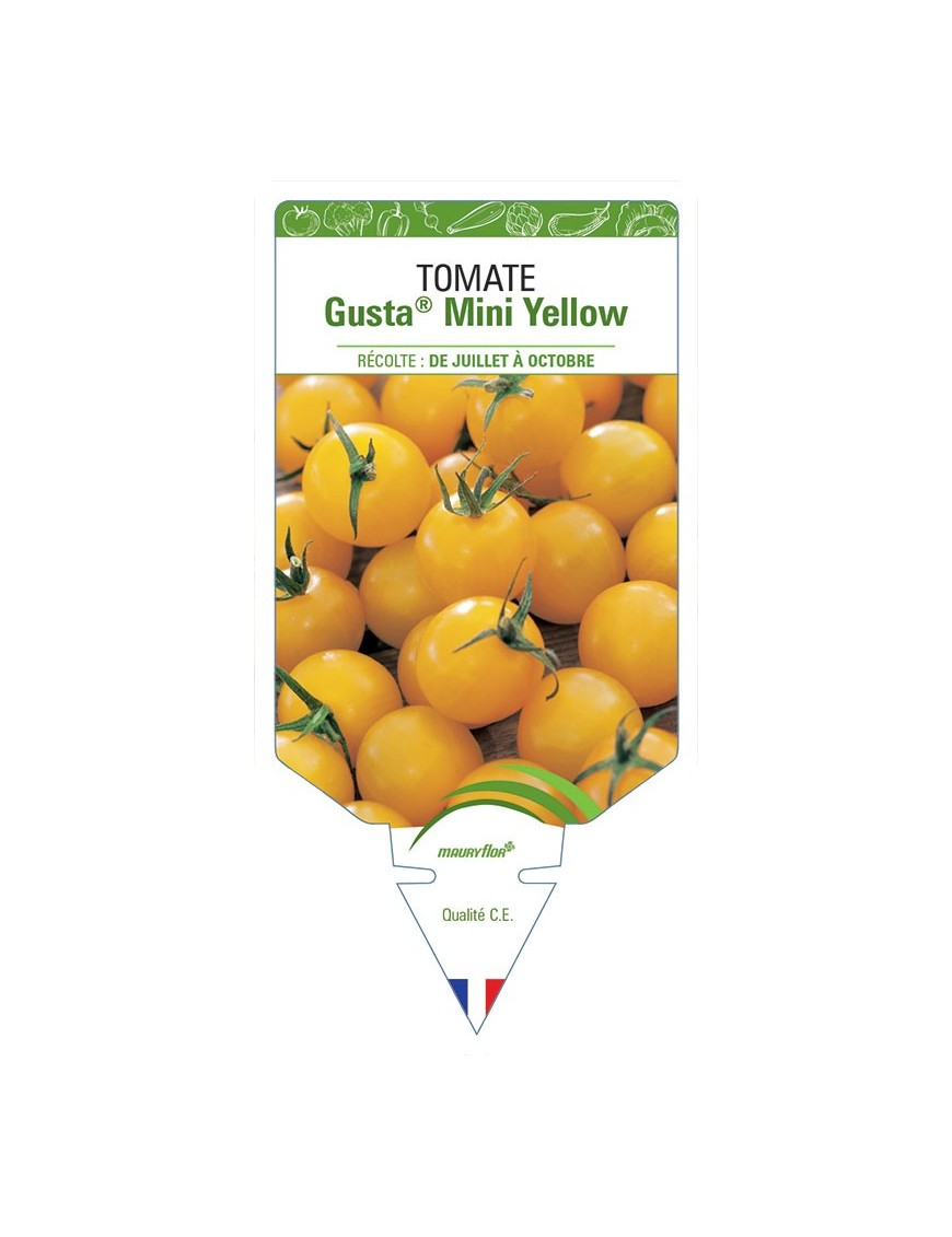 TOMATE GUSTA MINI® YELLOW