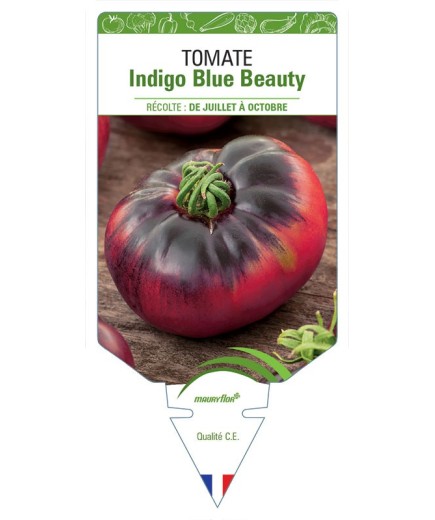 TOMATE INDIGO BLUE BEAUTY