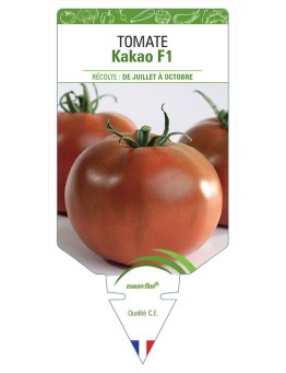 TOMATE KAKAO F1