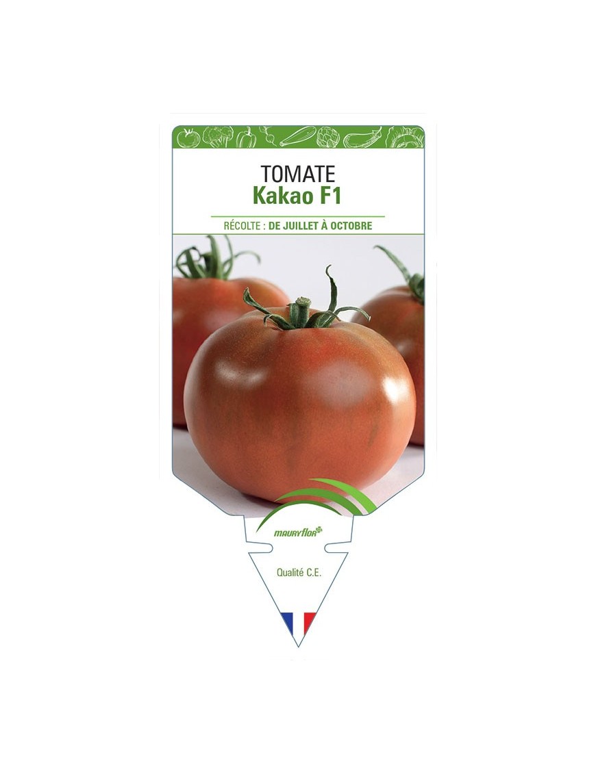 TOMATE KAKAO F1