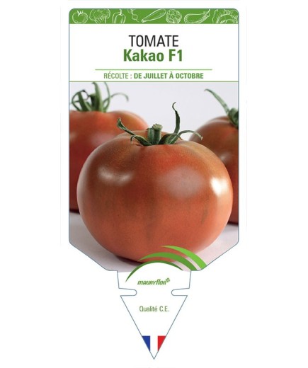 TOMATE KAKAO F1