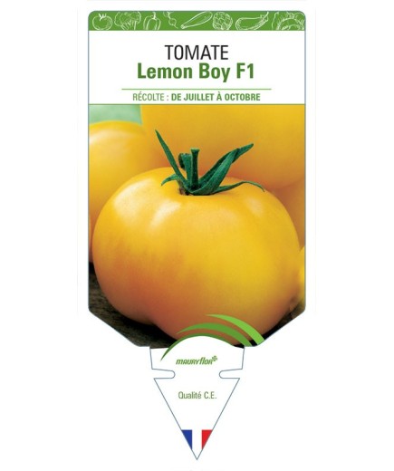 TOMATE LEMON BOY F1