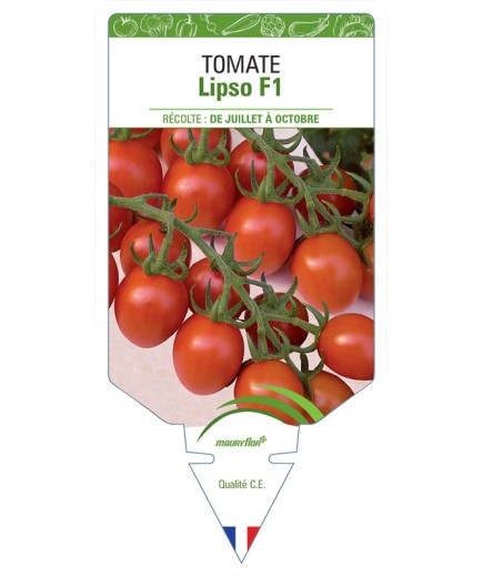 TOMATE LIPSO F1