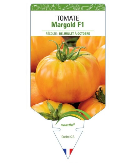 TOMATE MARGOLD F1