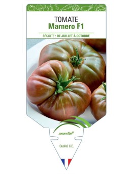 TOMATE MARNERO F1
