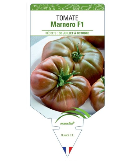 TOMATE MARNERO F1