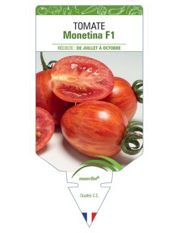 TOMATE MONETINA F1