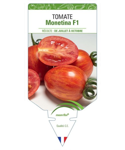 TOMATE MONETINA F1