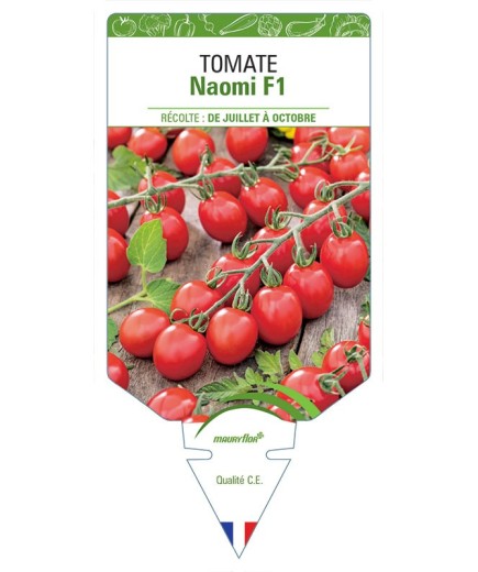 TOMATE NAOMI F1