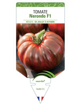 TOMATE NERONDO F1
