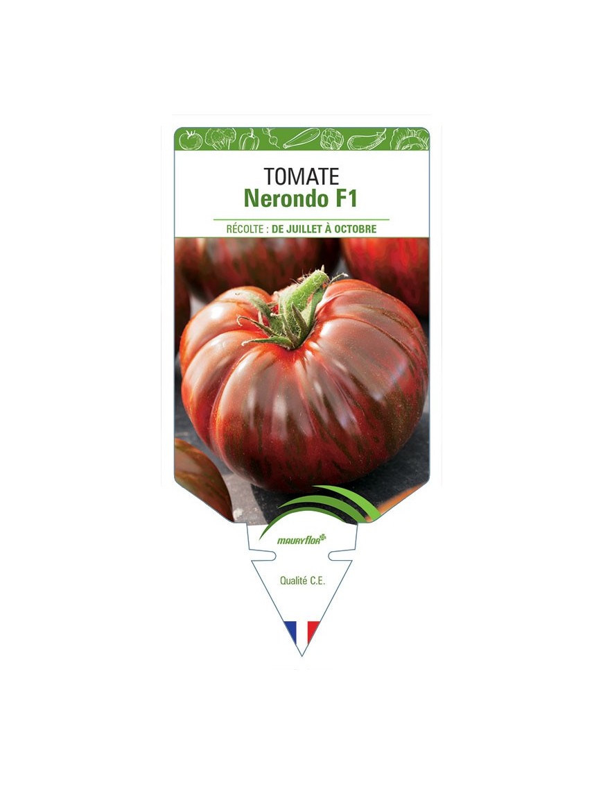 TOMATE NERONDO F1