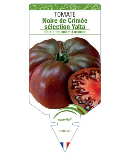 TOMATE NOIRE DE CRIMÉE SÉLECTION YALTA