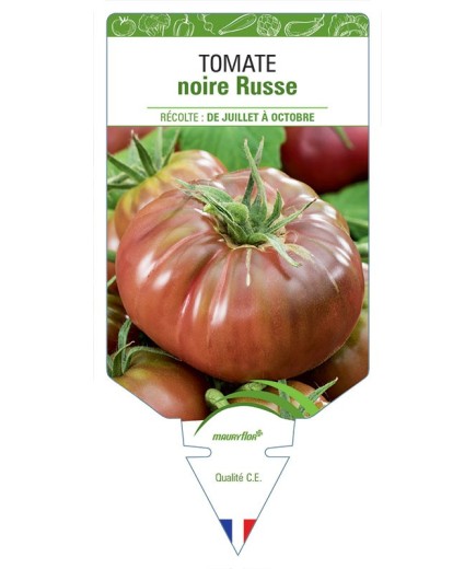 TOMATE NOIRE RUSSE