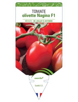 TOMATE OLIVETTE NAGINA F1