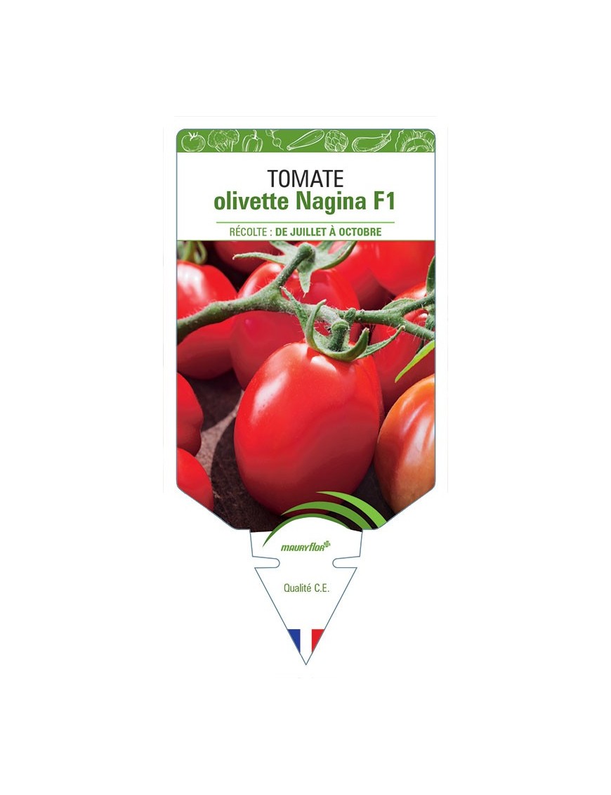 TOMATE OLIVETTE NAGINA F1