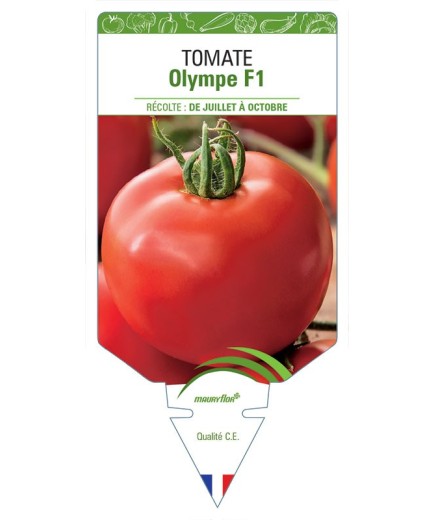 TOMATE OLYMPE F1