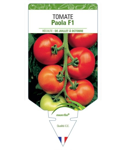 TOMATE PAOLA F1