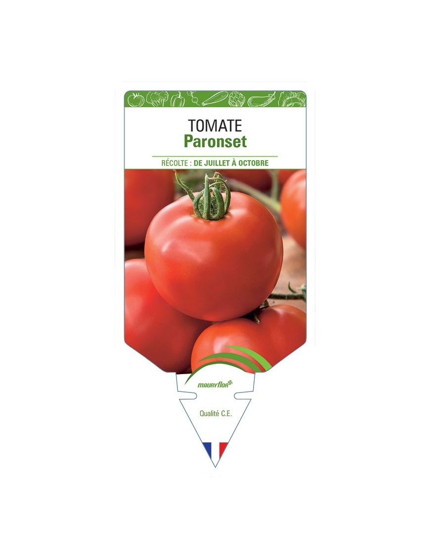 TOMATE PARONSET