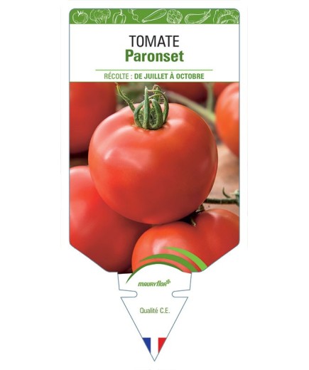 TOMATE PARONSET