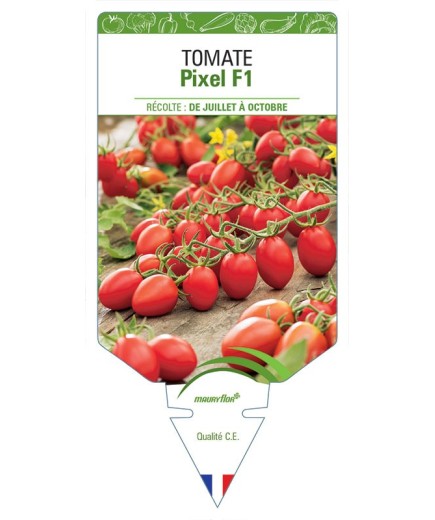 TOMATE PIXEL F1