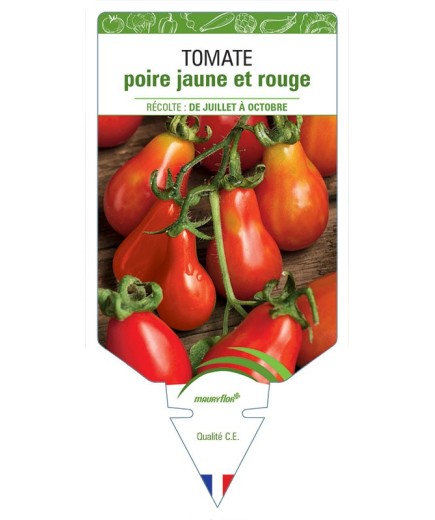 TOMATE POIRE JAUNE ET ROUGE