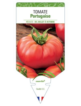 TOMATE PORTUGAISE