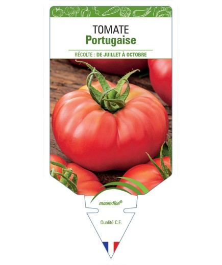 TOMATE PORTUGAISE
